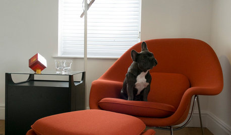 Fun Houzz: If Dogs Designed Homes...