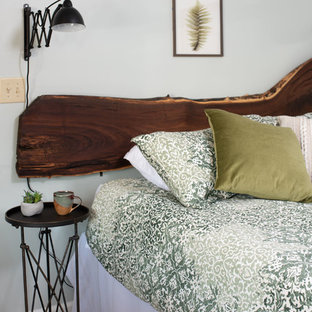 Modelo de habitación de invitados rústica, pequeña, con paredes verdes, moqueta y suelo verde