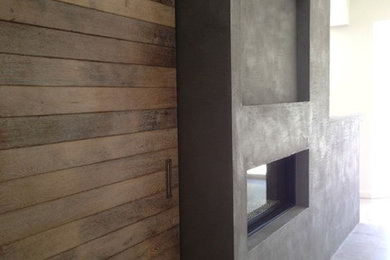 American Clay Fireplace-Modern Concrete finish
