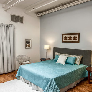 Diseño de dormitorio tipo loft, industrial, grande, sin chimenea, con paredes grises y suelo de madera en tonos medios