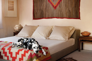 アルバカーキにあるサンタフェスタイルのおしゃれな寝室のインテリア