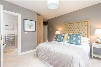 Contemporary master bedroom in Dublin with carpet and no fireplace.