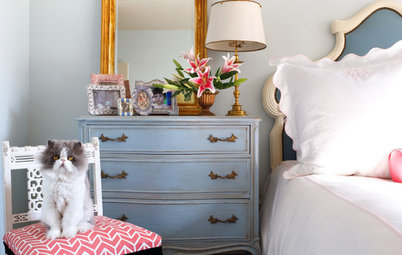 Fun Houzz: The Secrets of a Home That’s Cool for Cats
