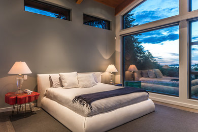 Foto de dormitorio principal contemporáneo con paredes grises y suelo de madera en tonos medios