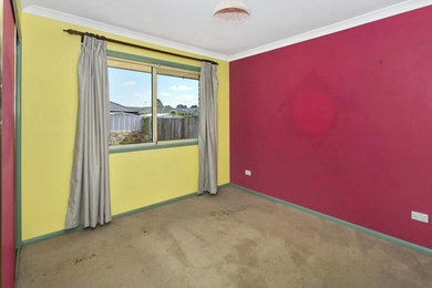 ブリスベンにある小さなコンテンポラリースタイルのおしゃれな主寝室 (赤い壁、カーペット敷き、茶色い床) のレイアウト