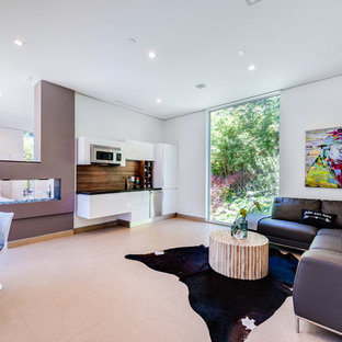 Modelo de habitación de invitados actual, grande, con paredes blancas y chimenea de doble cara