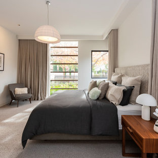 Design ideas for a contemporary master bedroom in Melbourne with white walls, carpet and multi-coloured floor.