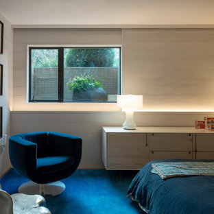 Diseño de habitación de invitados madera, contemporánea, de tamaño medio, con paredes beige, madera, moqueta y suelo azul