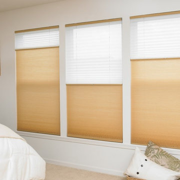 Blinds.com Cordless Top-Down Bottom-Up Cellular Shades