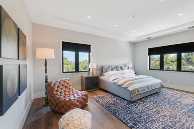 Example of a large minimalist guest medium tone wood floor and brown floor bedroom design in Other with gray walls