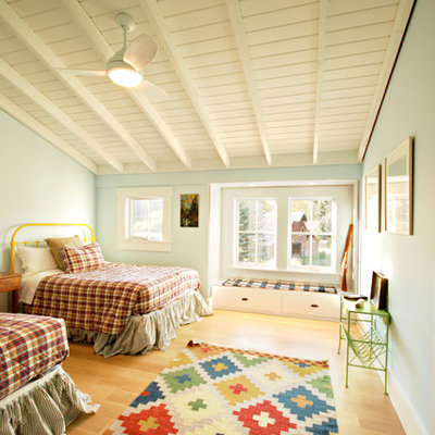 Large country guest light wood floor and brown floor bedroom photo in Other with blue walls and no fireplace