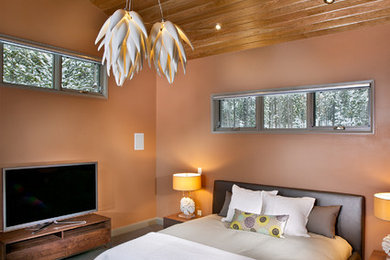 アトランタにある広いコンテンポラリースタイルのおしゃれな主寝室 (カーペット敷き、茶色い壁) のインテリア