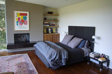 Foto de dormitorio principal minimalista grande con paredes grises, suelo de madera oscura, todas las chimeneas y marco de chimenea de piedra