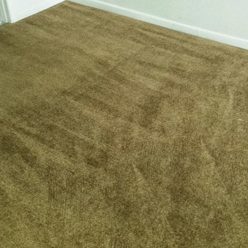 Carpet Cleaning - After Photo