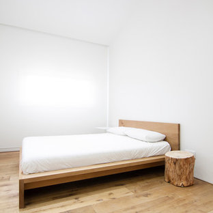 Esempio di una camera da letto minimalista di medie dimensioni con pavimento in compensato