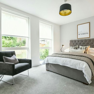 Design ideas for a medium sized contemporary bedroom in London with grey walls, carpet and grey floors.