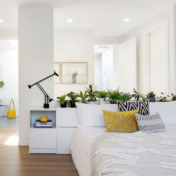 Collector's Loft