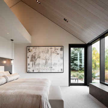 Contemporary Bedroom