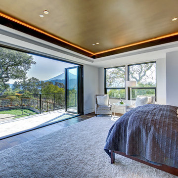 Contemporary Bedroom