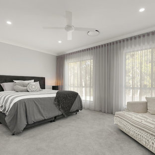 Inspiration for a contemporary master bedroom in Brisbane with grey walls, carpet and grey floor.