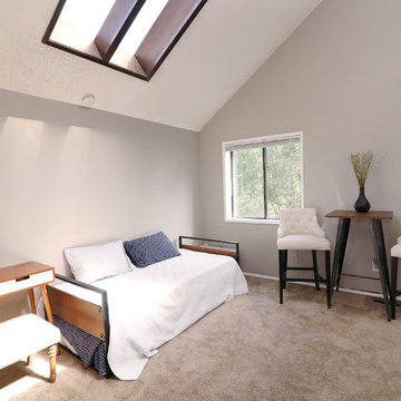 Contemporary Guest bedroom