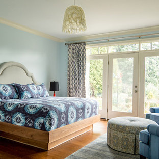 Bedroom - eclectic medium tone wood floor bedroom idea in Portland with blue walls