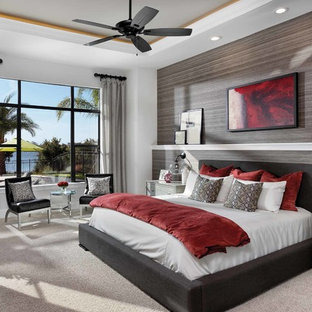 Mittelgroßes Modernes Hauptschlafzimmer mit grauer Wandfarbe, Teppichboden und Gaskamin in Orlando