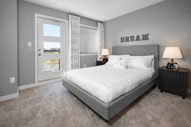 Ejemplo de dormitorio principal contemporáneo de tamaño medio con paredes grises y moqueta