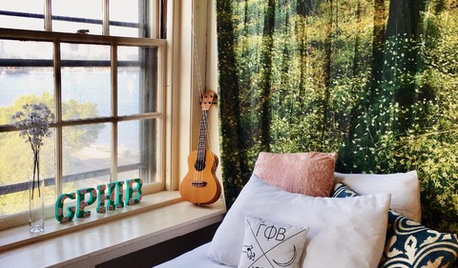 Decorating Tips From Real Dorm Rooms