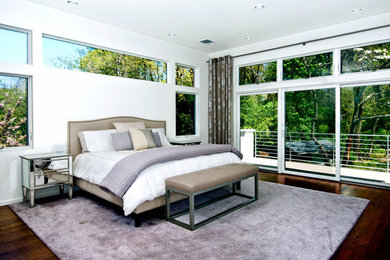 Inspiration for a modern dark wood floor bedroom remodel in New York