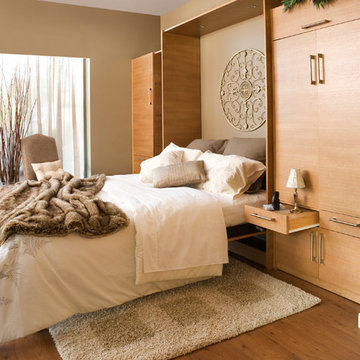 Eclectic Murphy Bed