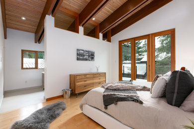 他の地域にある広いコンテンポラリースタイルのおしゃれな客用寝室 (白い壁、三角天井) のレイアウト