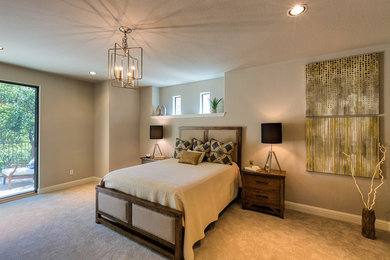 Bedroom - transitional bedroom idea in Austin