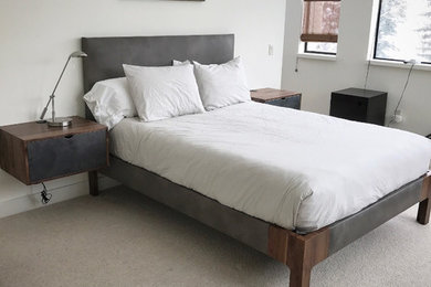 Inspiration for a modern bedroom remodel in Boise