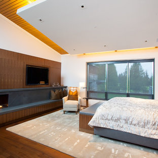 Idee per una grande camera da letto stile loft minimal con pareti bianche, pavimento in legno massello medio, camino lineare Ribbon e cornice del camino in pietra