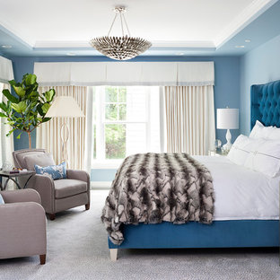 Inspiration for a transitional carpeted and gray floor bedroom remodel in DC Metro with blue walls