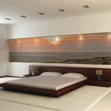 Example Wall Murals