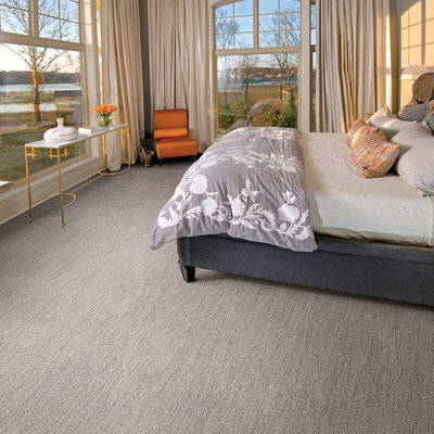 Bedroom - transitional master carpeted bedroom idea in Minneapolis with gray walls and no fireplace
