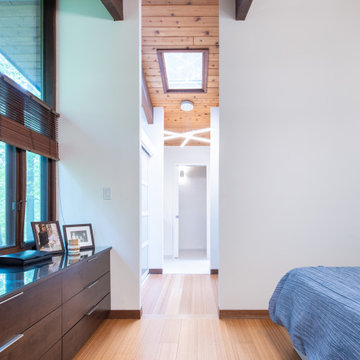 Fairfax, VA Mid-Century Modern Remodel