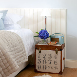 Diseño de dormitorio principal, clásico renovado, con paredes azules y suelo de madera en tonos medios