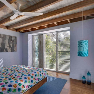 Photo of a tropical bedroom in Sydney with purple walls, medium hardwood floors and brown floor.