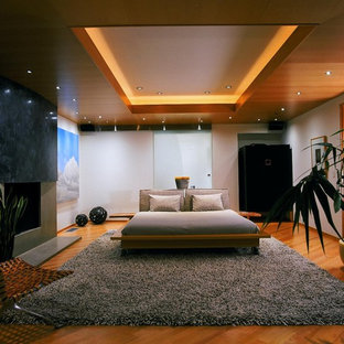 Foto de dormitorio tipo loft con paredes grises, suelo de madera en tonos medios, chimenea tradicional y marco de chimenea de hormigón