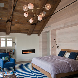 This is an example of an eclectic bedroom in New York with medium hardwood floors and a ribbon fireplace.