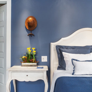 Ejemplo de habitación de invitados clásica renovada, grande, con paredes azules, suelo de madera oscura y suelo negro