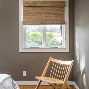 Diseño de habitación de invitados minimalista, de tamaño medio, sin chimenea, con paredes grises y suelo de madera en tonos medios