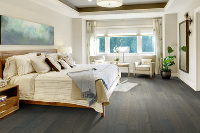 Example of a large trendy master dark wood floor bedroom design in Other