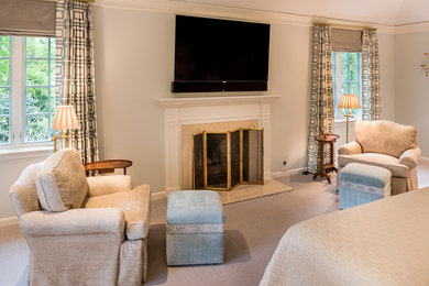 Bedroom - traditional master carpeted bedroom idea in Philadelphia with a standard fireplace and a stone fireplace