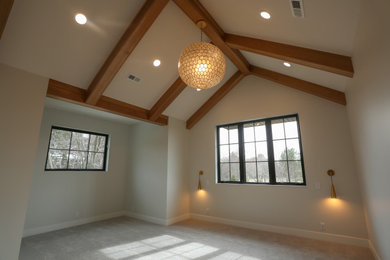 Carpeted and vaulted ceiling bedroom photo in Other