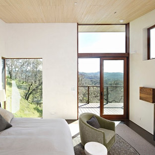 Großes Uriges Gästezimmer mit weißer Wandfarbe, Betonboden, Gaskamin, Kaminumrandung aus Beton und grauem Boden in San Francisco