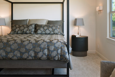 Inspiration for a contemporary master bedroom remodel in San Diego